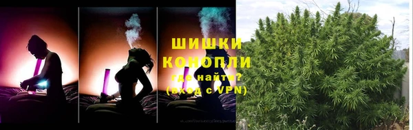 PSILOCYBIN Медвежьегорск