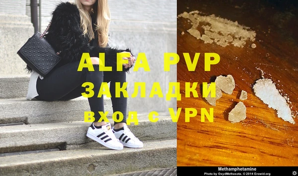 PSILOCYBIN Медвежьегорск