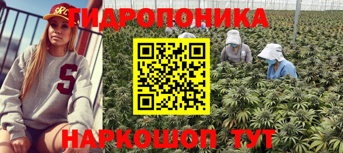Каннабис конопля Миллерово